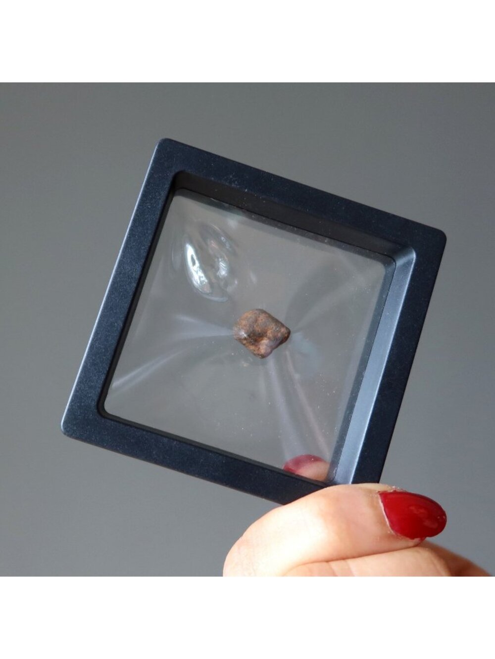 Gao-Guenie Meteorite Chondrite Specimen Authentic Space Stone Cosmic Raw w/ Case